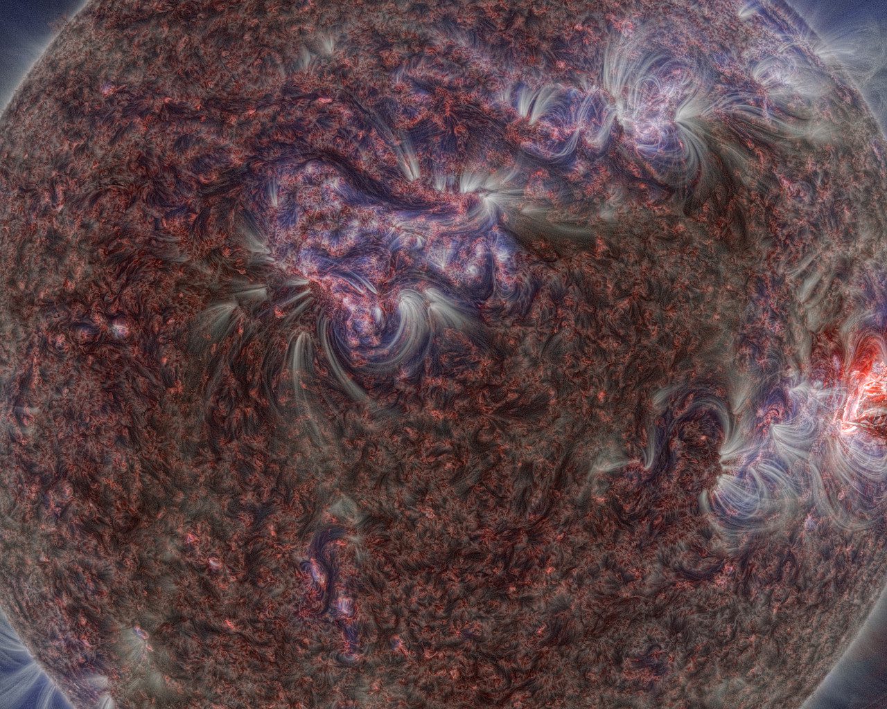 Image from The Sun, Our Living Star